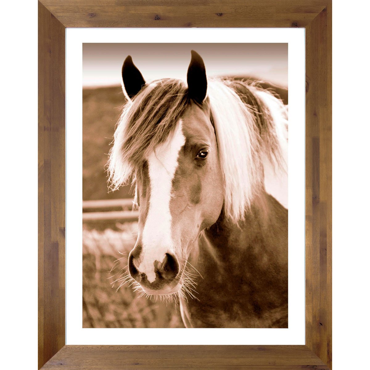 Quadro Decorativo 120x90 Moldura De Madeira Cavalo De Frente