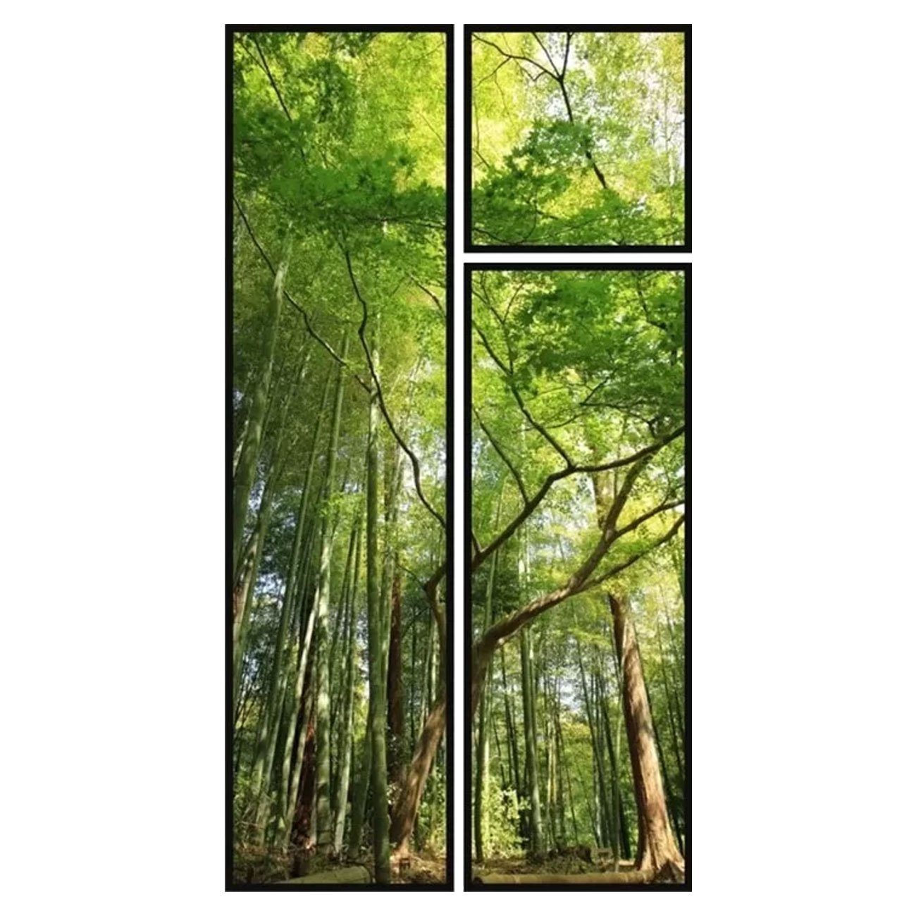 Conjunto de Quadros Floresta Verde Kit com 3 Quadros 110x200cm