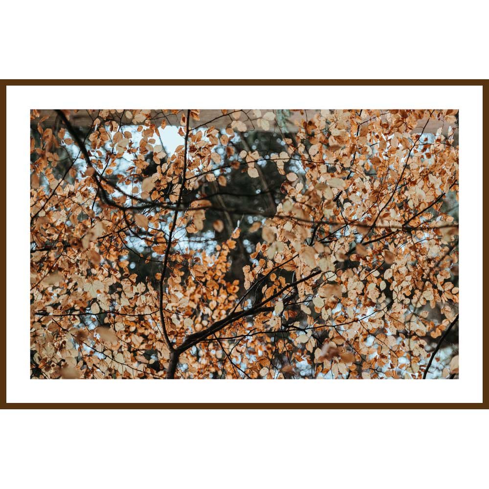 Conjunto de Quadros Folhas de Outono Kit com 5 Quadros de 30x20 cm