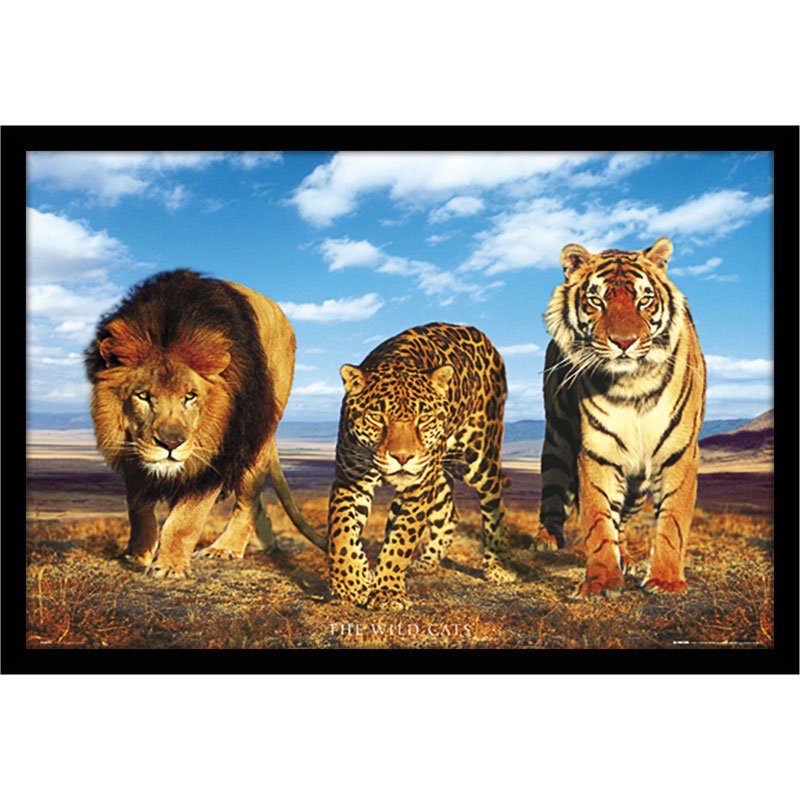 Quadro Leão e Tigre Tabuleiro de Xadrez