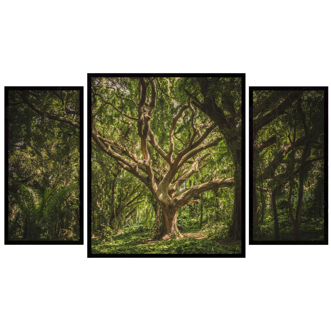 Kit de Quadros Decorativos Floresta Hawaii Árvores  130x70cm