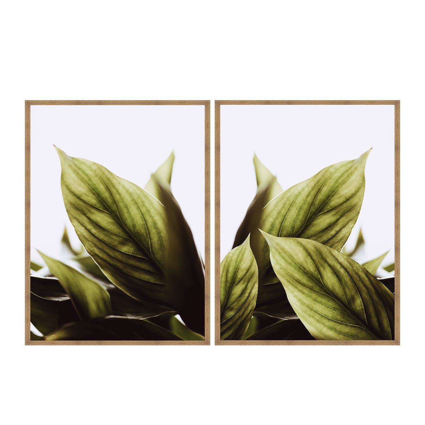 Kit de Quadros Folhas Verdes Botânico Decoração Moderna Minimalista e Serena