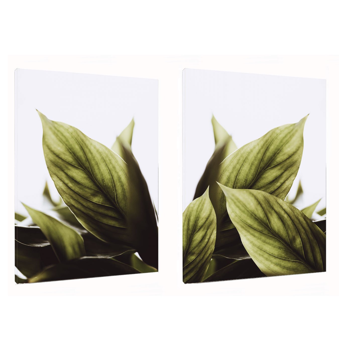 Kit de Quadros Folhas Verdes Botânico Decoração Moderna Minimalista e Serena