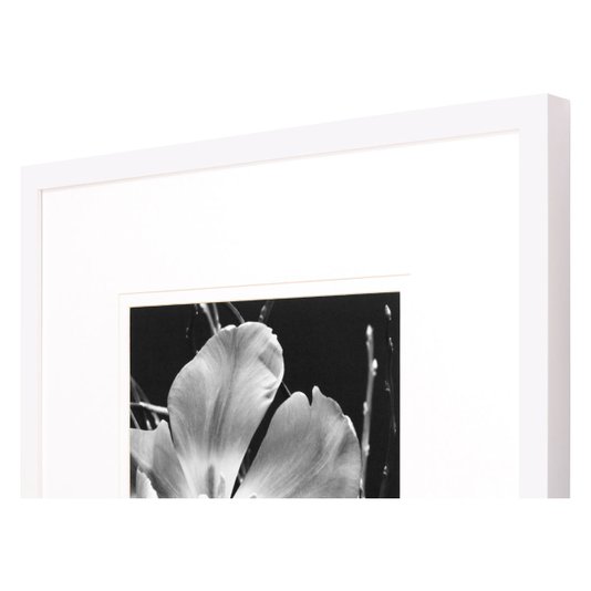 Quadro Decorativo Flor em Preto e Branco com Moldura Branca Laqueada 50x50cm