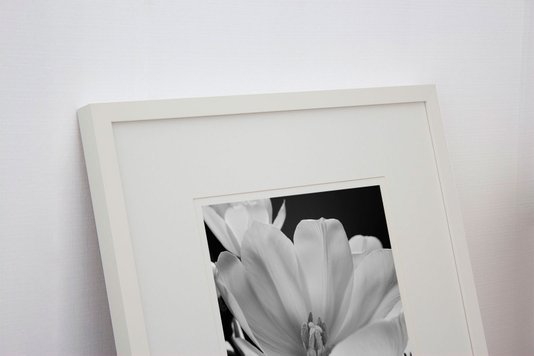 Quadro Decorativo em Preto e Branco Flor Tulipa 50x50cm
