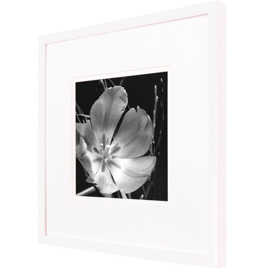 Quadro Decorativo Flor em Preto e Branco com Moldura Branca Laqueada 50x50cm