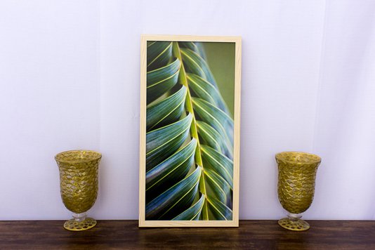 Quadro Decorativo com Vidro Folha de Palmeira 30x60cm