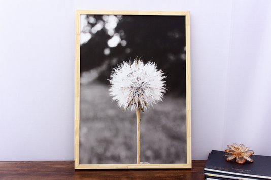 Quadro Decorativo com Impressão Personalizada Flor Dente de Leão 50x70cm