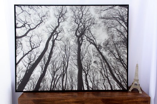 Quadro Tela Decorativa com Moldura Paisagem Floresta Árvores sem Folhas 150x115cm