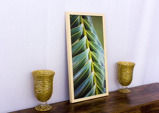 Quadro Decorativo com Vidro Folha de Palmeira 30x60cm