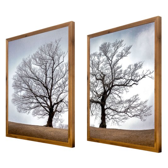 Kit 2 Quadros com Moldura Rústica Árvore Seca de Outono 130x80 cm