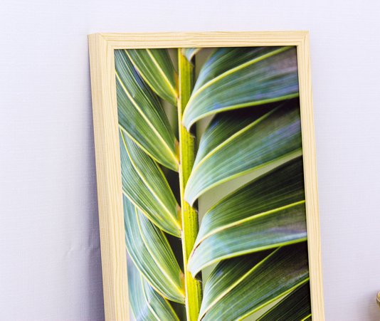 Quadro Decorativo com Vidro Folha de Palmeira II - 30x60cm