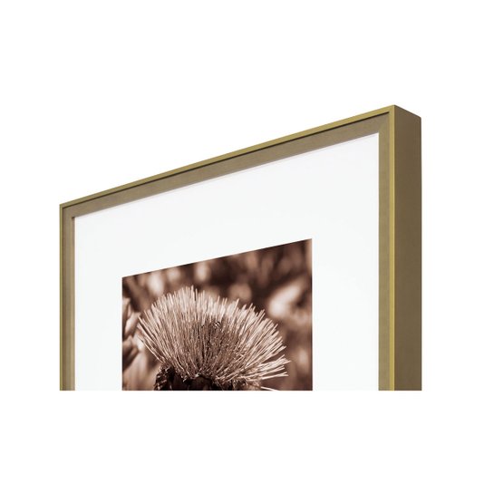 Quadro com Moldura na Cor Dourada Flor Cardo Selvagem Tom Sépia 50x50cm