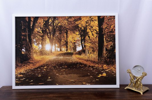 Quadro Decorativo Paisagem Rua Ladeada de Árvores 100x70cm