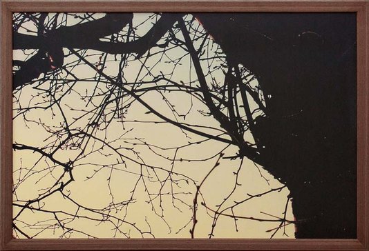 Conjunto de Quadros Nascer do Sol Kit com 9 Quadros 60x40cm