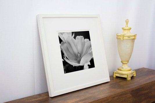 Quadro Decorativo em Preto e Branco Flor Tulipa 50x50cm