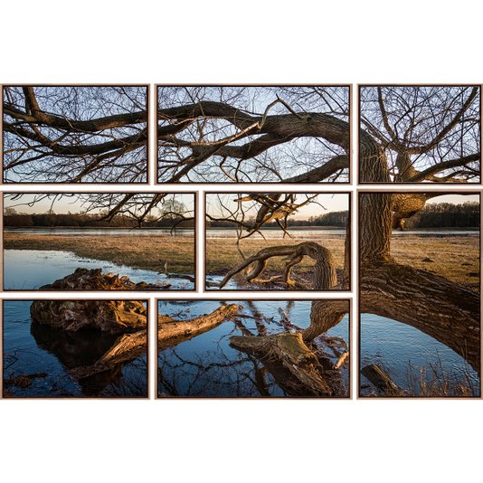 Conjunto de Quadros Telas Decorativas Paisagem Natureza Árvore Kit com 8 Quadros