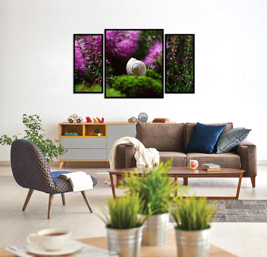 Kit de Quadros Decorativos Natureza Concha de Caracol 130x70cm