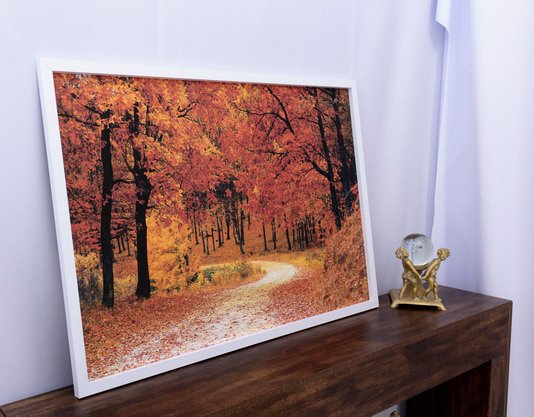 Quadro Decorativo Paisagem II Rua Ladeada de Árvores 100x70cm
