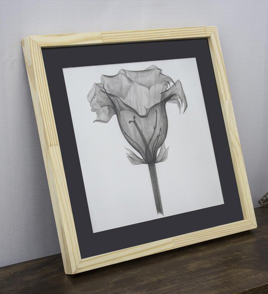 Quadro Decorativo Flor Raio-X em Preto e Branco I 40x40cm