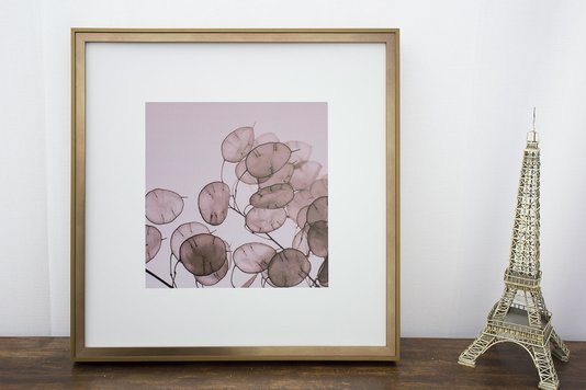 Quadro com Moldura na Cor Dourada Folhas Redondas Tom Sépia 50x50cm