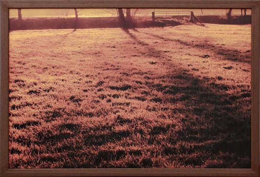 Conjunto de Quadros Nascer do Sol Kit com 9 Quadros 60x40cm
