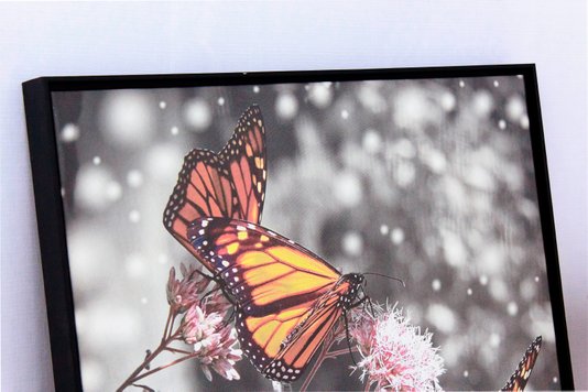 Quadro Tela Decorativa Emoldurada Borboletas em Flor 70x75cm