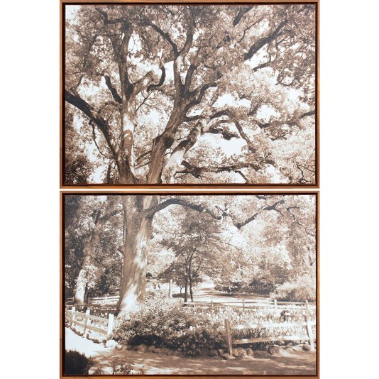 Conjunto de Quadros Telas Decorativas Paisagem Parque com Árvore Kit com 2 Quadros de 70x50cm
