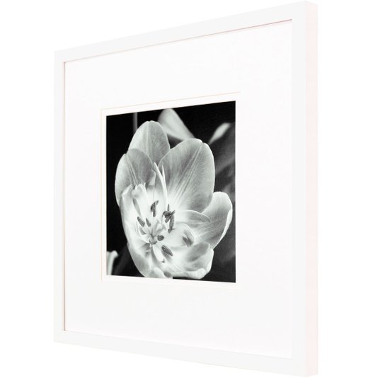 Quadro Decorativo Flor em Preto e Branco com Moldura Laqueada Branca 50x50cm