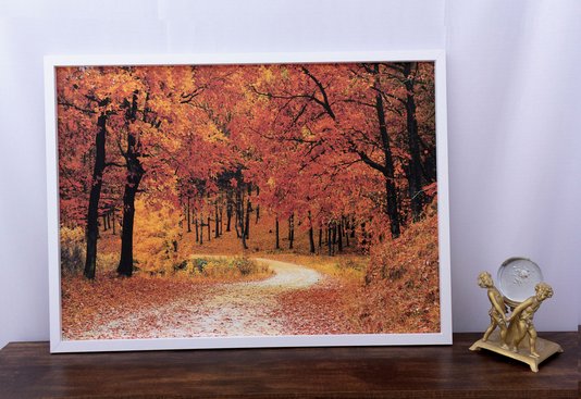 Quadro Decorativo Paisagem II Rua Ladeada de Árvores 100x70cm
