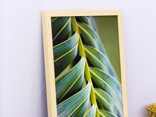 Quadro Decorativo com Vidro Folha de Palmeira 30x60cm