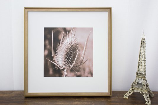Quadro com Moldura na Cor Dourada Flor Cardo Tom Sépia 50x50cm