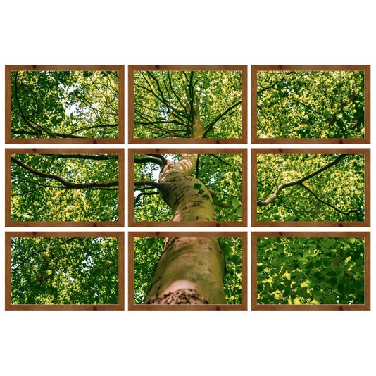 Conjunto de Quadros Árvore Verde Kit com 9 Quadros de 40x25 cm