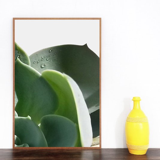 Conjunto de Quadros com Moldura Marrom Plantas Suculentas Kit com 3 Quadros