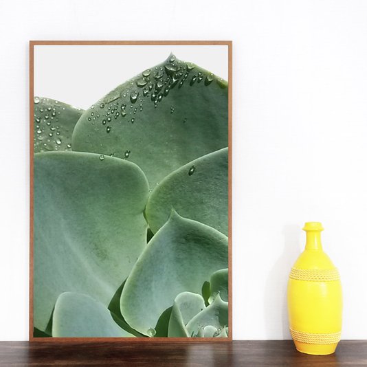 Conjunto de Quadros com Moldura Marrom Plantas Suculentas Kit com 3 Quadros