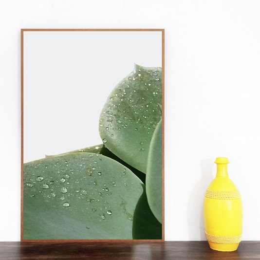 Conjunto de Quadros com Moldura Marrom Plantas Suculentas Kit com 3 Quadros