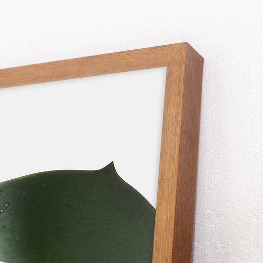 Conjunto de Quadros com Moldura Marrom Plantas Suculentas Kit com 3 Quadros