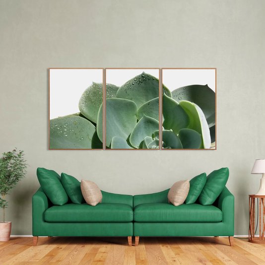 Conjunto de Quadros com Moldura Marrom Plantas Suculentas Kit com 3 Quadros