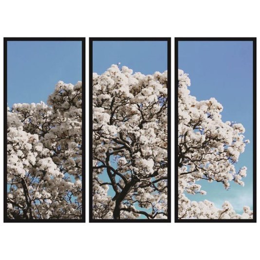 Conjunto Kit com 3 Quadros Árvore Ipê Branco: Conecte-se com a Natureza na sua Decoração