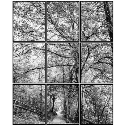 Quadros Paisagem Floresta Preto e Branco Kit com 9 Quadros 80X100cm