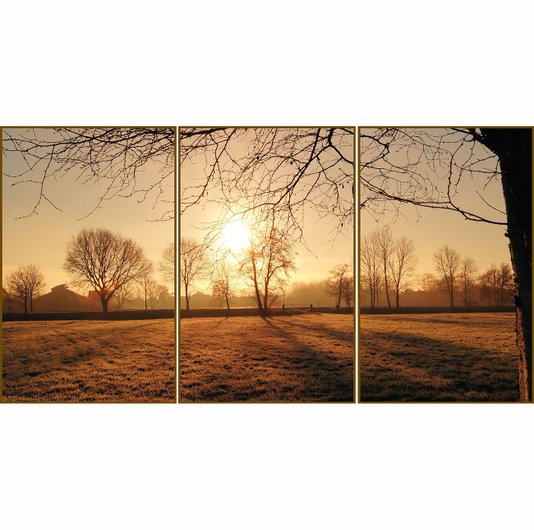 Conjunto de Quadros Paisagem Nascer do Sol Kit com 3 Quadros de 70x110cm