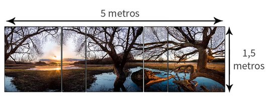 Conjunto de Quadros Grandes com Vidro Kit com 5 Quadros 500x150cm