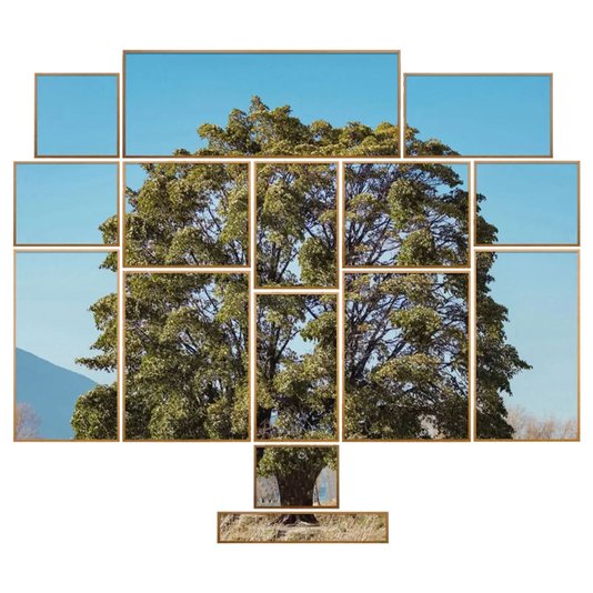 Conjunto de Quadros Paisagem Árvore Kit com 15 Quadros