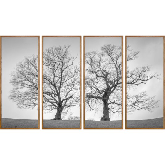 Conjunto de Quadros Paisagem Árvores em Preto e Branco 190x110cm
