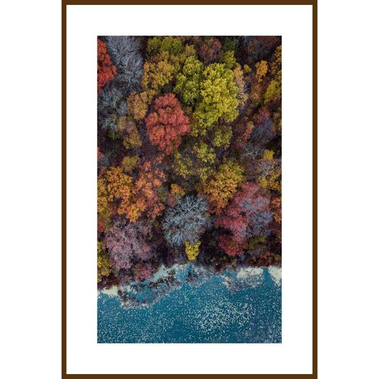Conjunto de Quadros Paisagens Florestas 5 Quadros de 20x30 cm