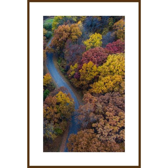 Conjunto de Quadros Paisagens Florestas 5 Quadros de 20x30 cm
