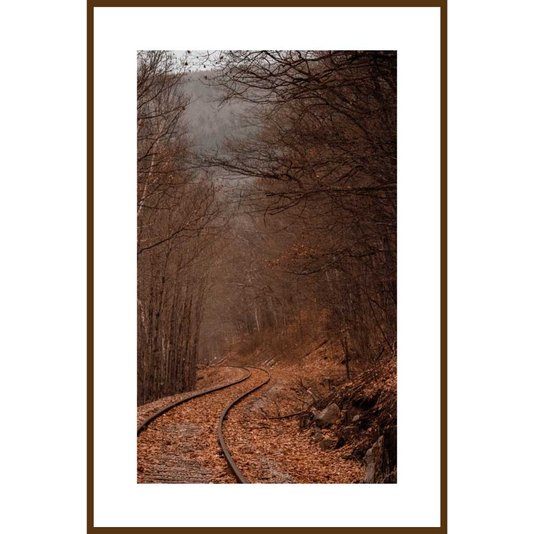 Conjunto de Quadros Paisagens Florestas 5 Quadros de 20x30 cm