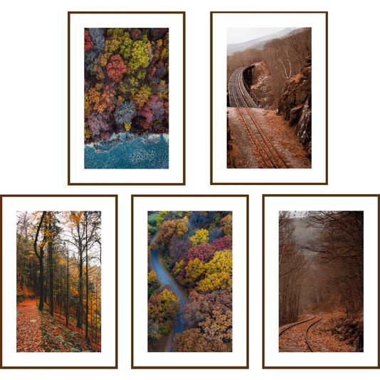 Conjunto de Quadros Paisagens Florestas 5 Quadros de 20x30 cm