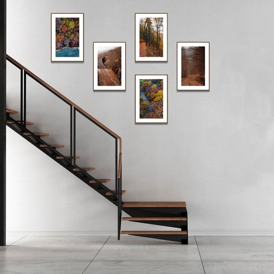 Conjunto de Quadros Paisagens Florestas 5 Quadros de 20x30 cm