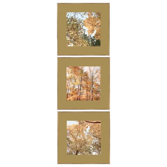 Conjunto de Quadros Paisagens Florestas Kit com 3 Quadros de 30x30 cm